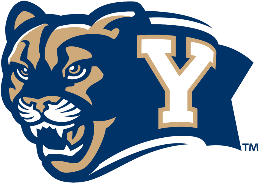 Brigham Young Cougars 2005-Pres Secondary Logo iron on transfers for fabric